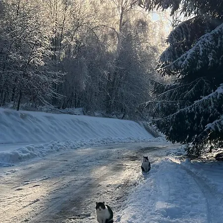 Dom Krawca,schneiderbaude 3*