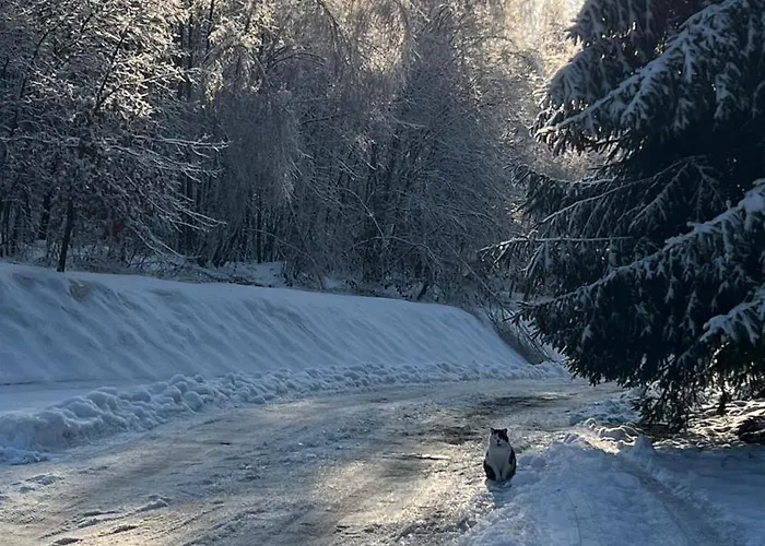 Dom Krawca,schneiderbaude 3*