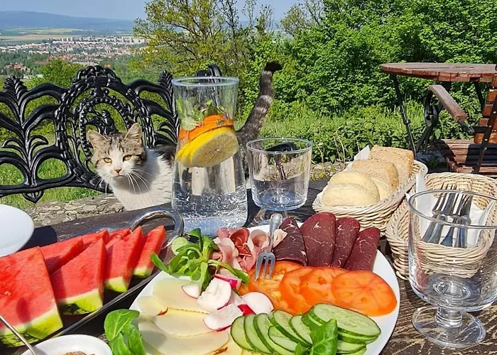 Dom Krawca,schneiderbaude Kłodzko